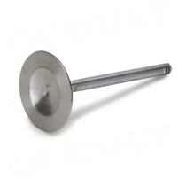 Porsche 911 (993) 1995-1998 Insugsventil OE-Cult